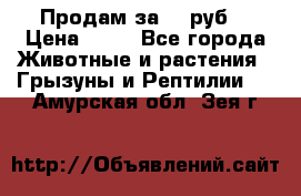 Продам за 50 руб. › Цена ­ 50 - Все города Животные и растения » Грызуны и Рептилии   . Амурская обл.,Зея г.